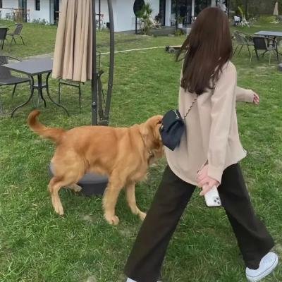 青铜匕首