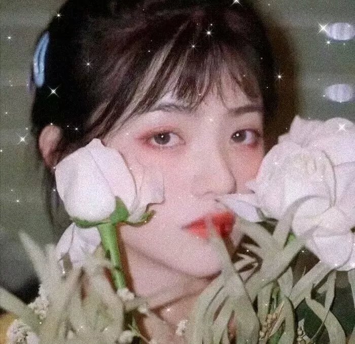 蜜蜂少女队2